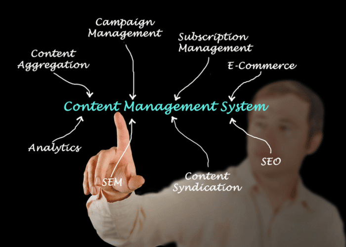 Content Management System (CMS)